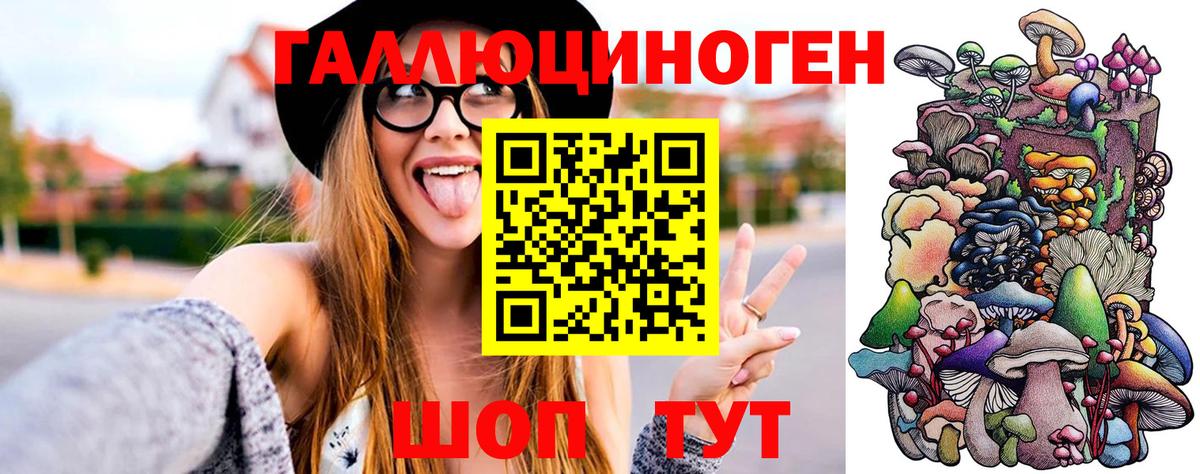 Галлюциногенные грибы Psilocybe  Вход с VPN  Красноуфимск 